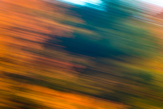 Fall Blurs No.1